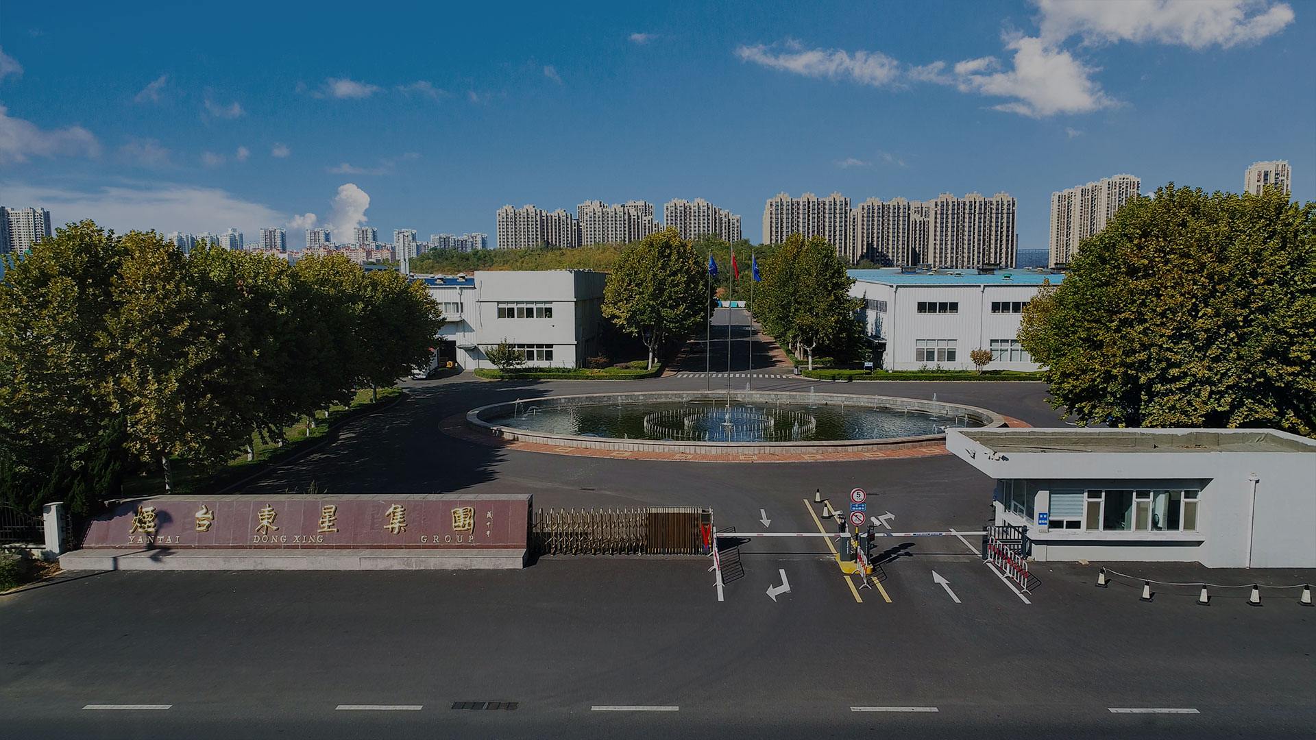 烟台东星集团 烟台东星集团